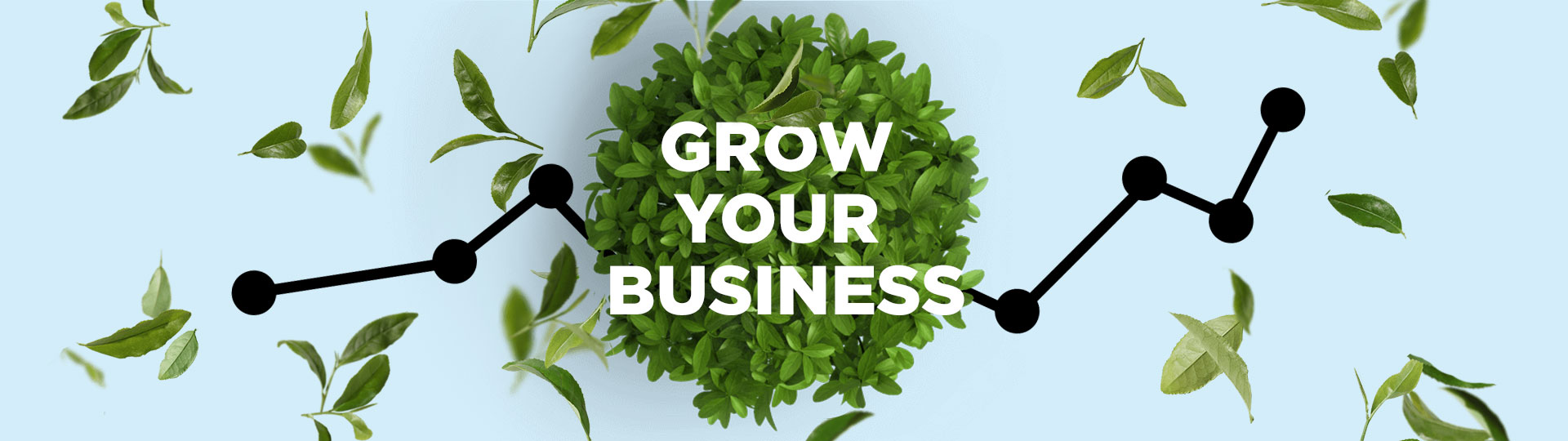 Grow Your Business
